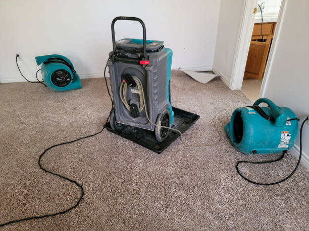 Best 24/7 water damage repair  in Mesquite, TX