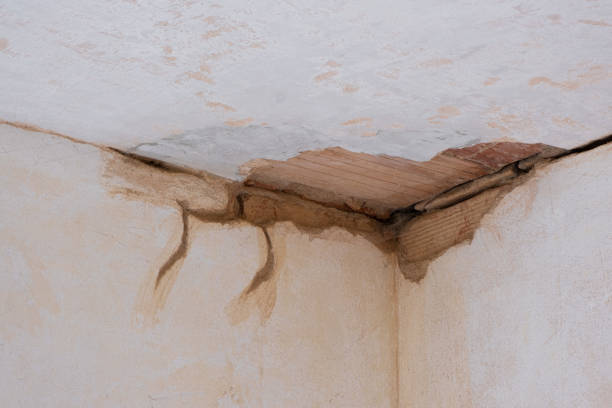 Best Water damage restoration near me  in Mesquite, TX