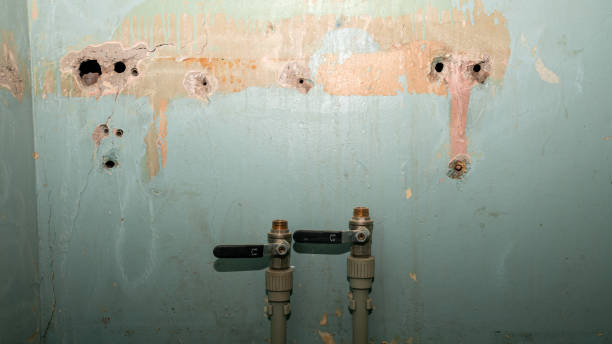 Best Mold removal after water damage  in Mesquite, TX