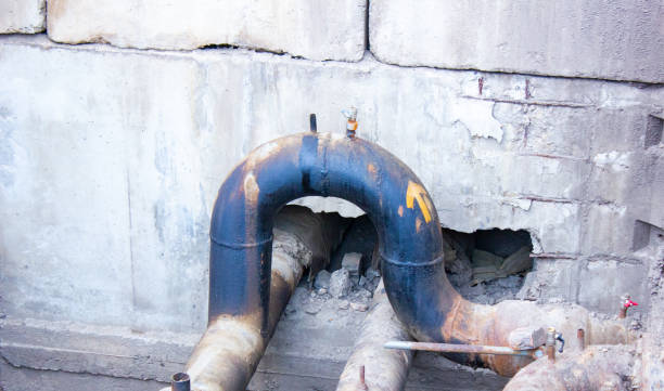 Best Water damage mitigation services  in Mesquite, TX
